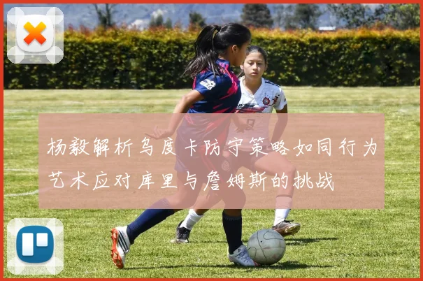 杨毅解析乌度卡防守策略如同行为艺术应对库里与詹姆斯的挑战