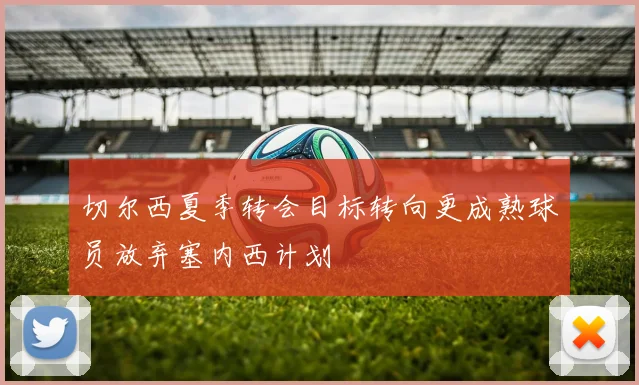 切尔西夏季转会目标转向更成熟球员放弃塞内西计划