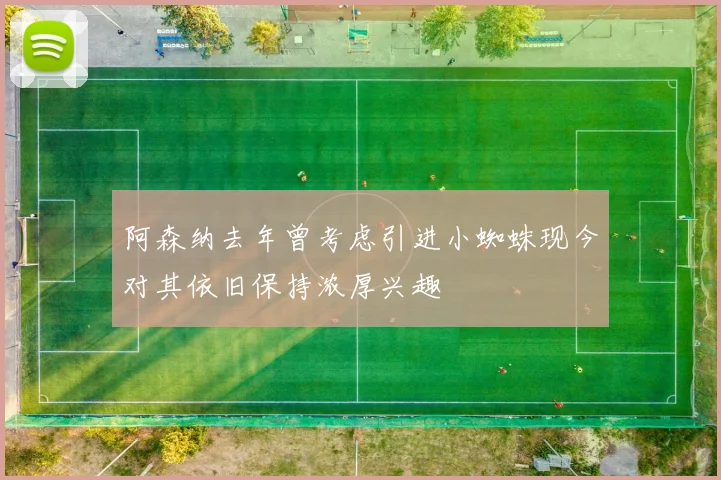 阿森纳去年曾考虑引进小蜘蛛现今对其依旧保持浓厚兴趣